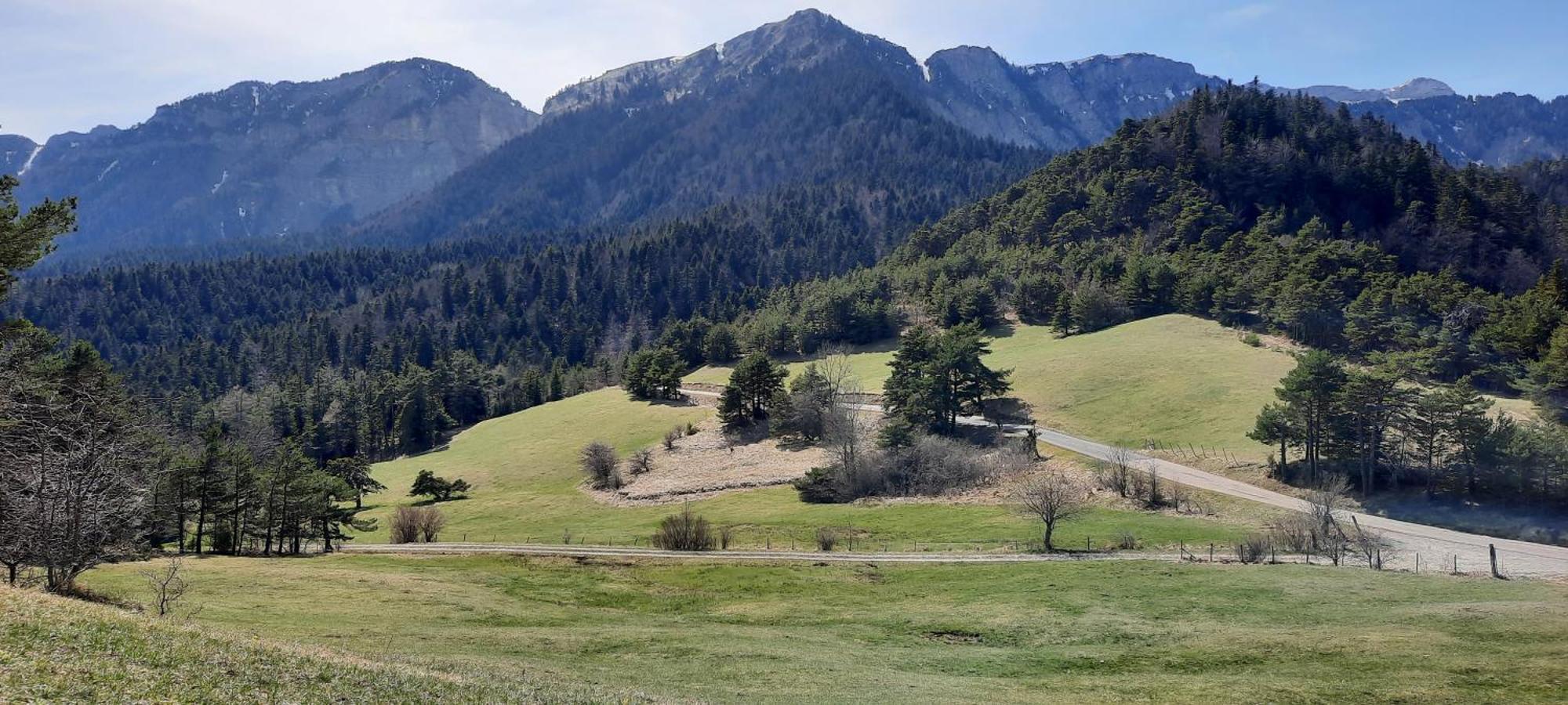 Bed and Breakfast Les Vagabonds Du Mont Chichilianne Esterno foto