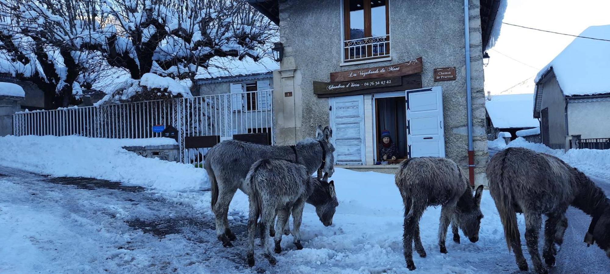 Bed and Breakfast Les Vagabonds Du Mont Chichilianne Esterno foto